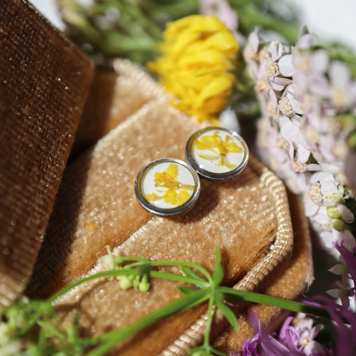 Rozkvetlá louka: boryt