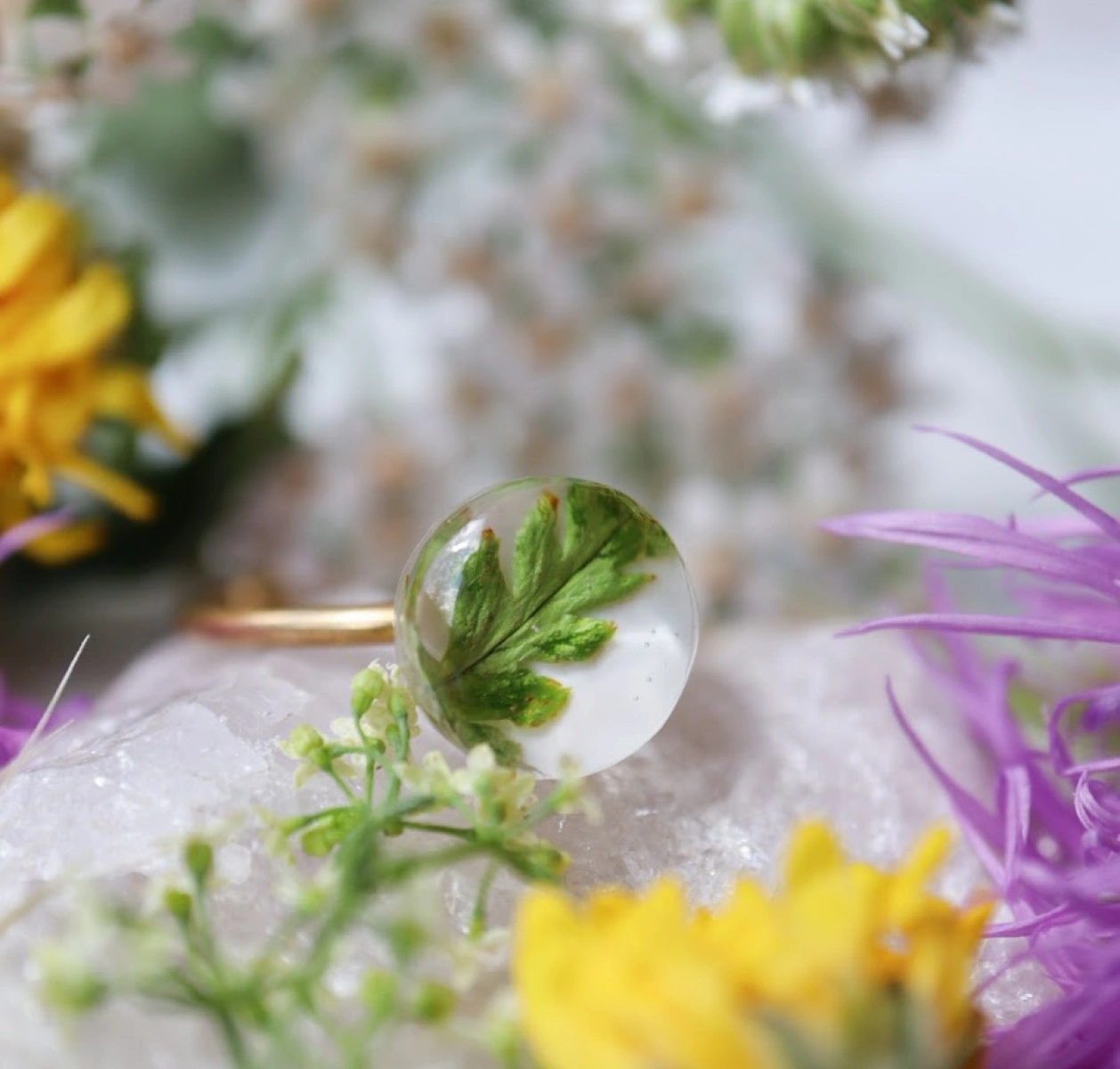 Rozkvetlá louka: kapradí