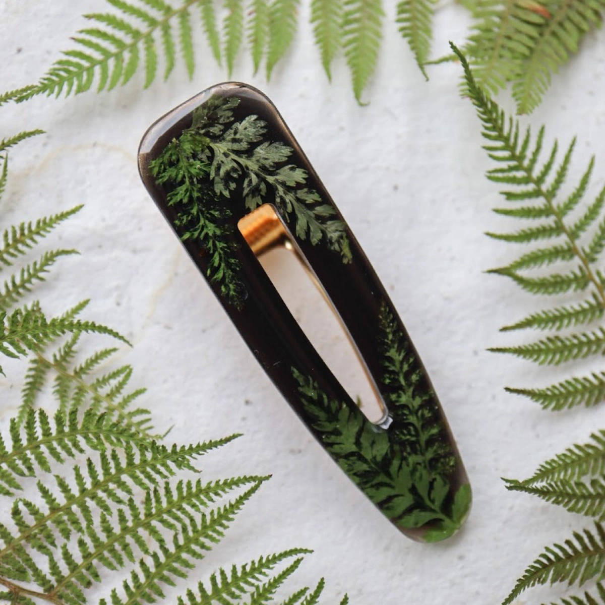 Sponka s kapradím