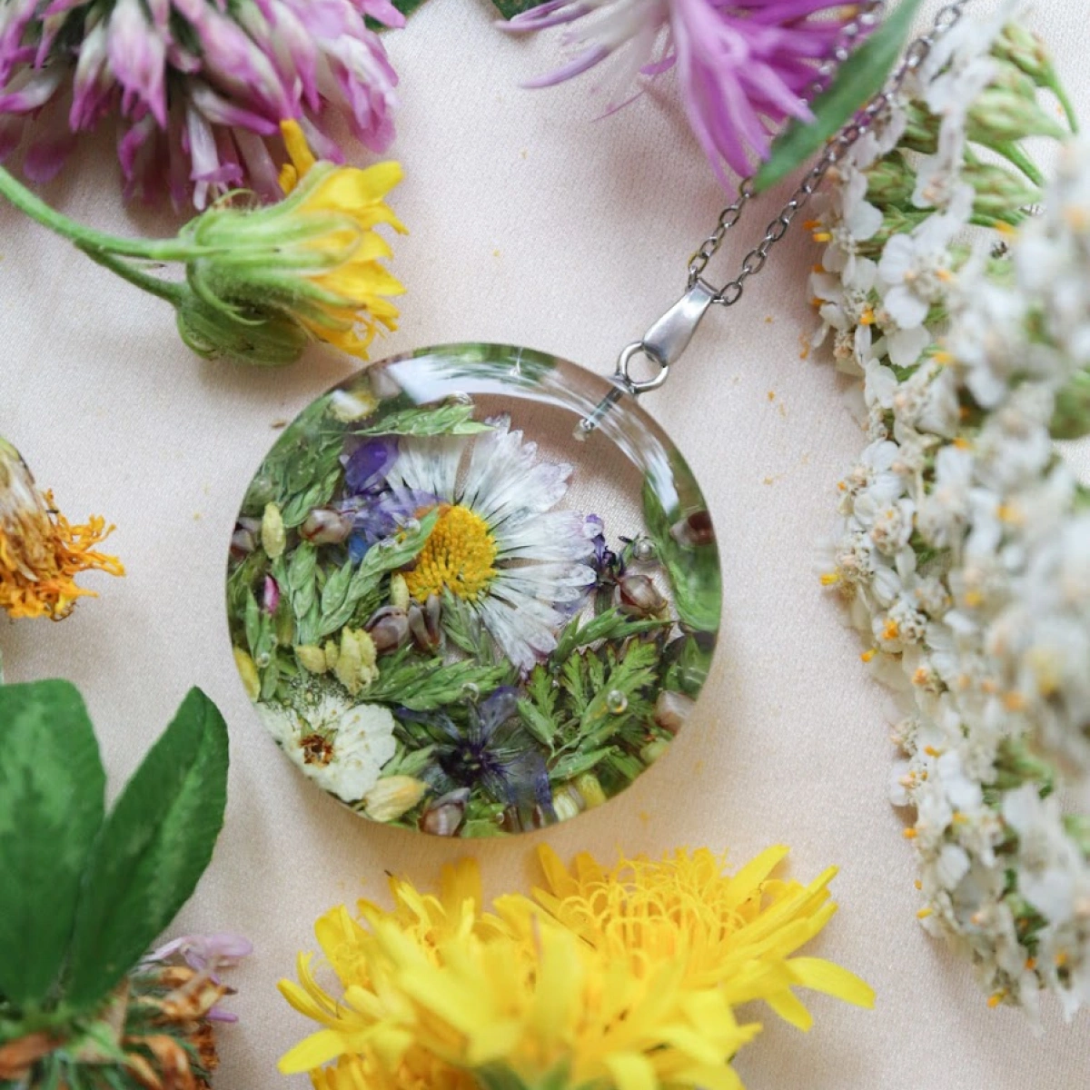 Léto! sedmikráska